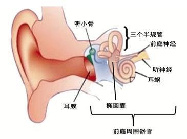 坐网约车，为什么会头晕？