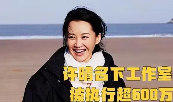 她怎么了？“酒窝女神”被执行624万元