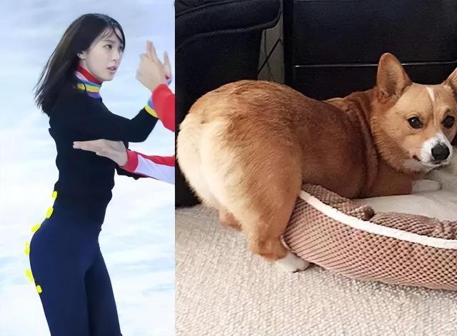 36岁李菲儿：机场大胆撩衣露身材，露出内搭的倒三角部位惹争议！