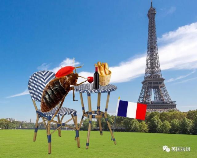 巴黎嗜血臭虫已到亚洲！韩国大学寝室商店健身房现大面积虫卵，香港地铁也遭侵袭？！