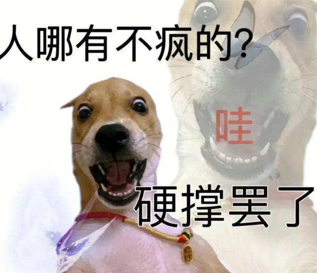 这世道已经变得如此疯狂了嘛？