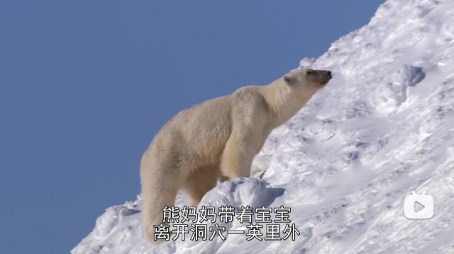 苦等7年，回归即爆！逆天神作，顶礼膜拜