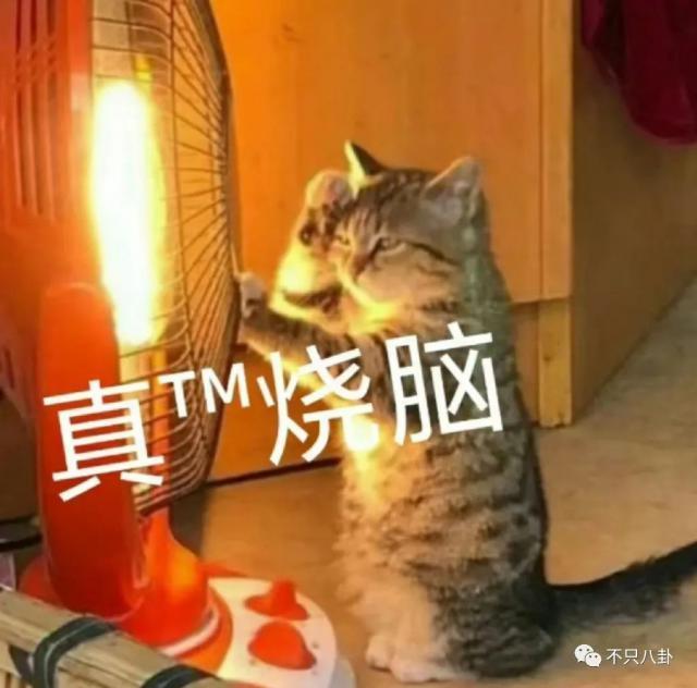 闹成现在这样，他的路人缘还有救吗？