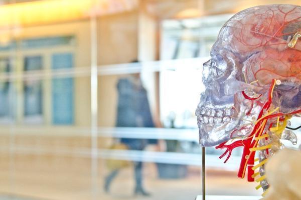 半人工生命诞生，我们离成为“上帝”还有多远？