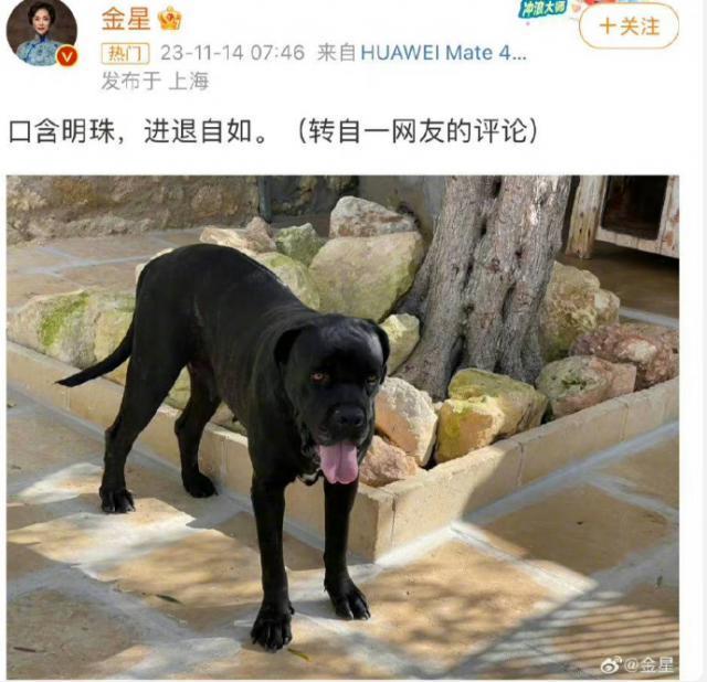 报警了？怪不得她吓到删博…