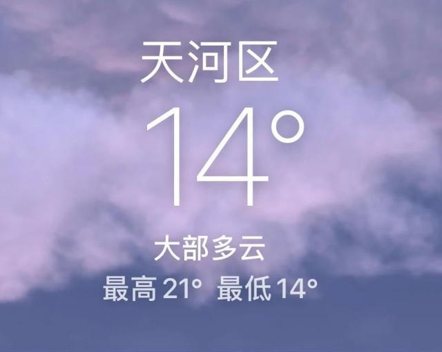 富人区捡垃圾，简直赢麻了！