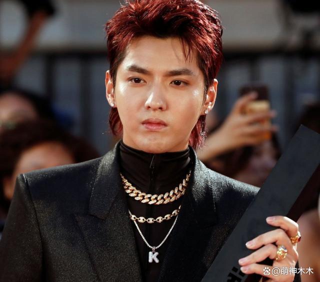 吴亦凡二审维持原判！13年附加驱逐出境，本人还面临巨额索赔