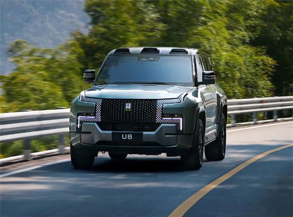 网友买了仰望U8回村：全村人围观 像过年一般