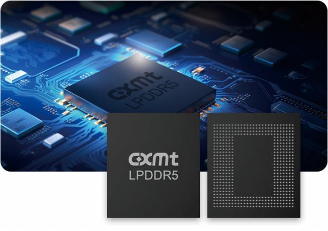 国内首家：长鑫存储推出 LPDDR5 DRAM 存储芯片