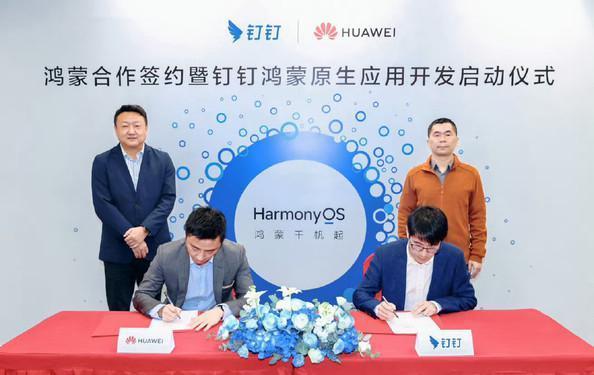 十多个领域的独角兽企业集体支持鸿蒙，鸿蒙进入“快车道”发展！