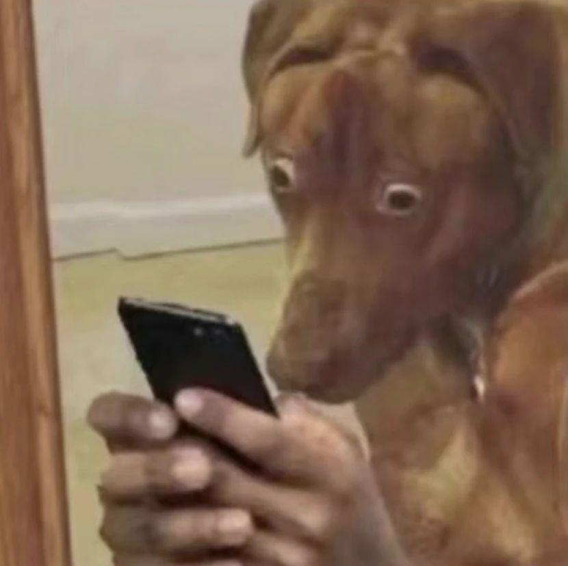 正面最好看的直屏手机，终于发布了