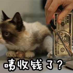 靠假章诈骗 300 亿还有后续！剧本都不敢这么写