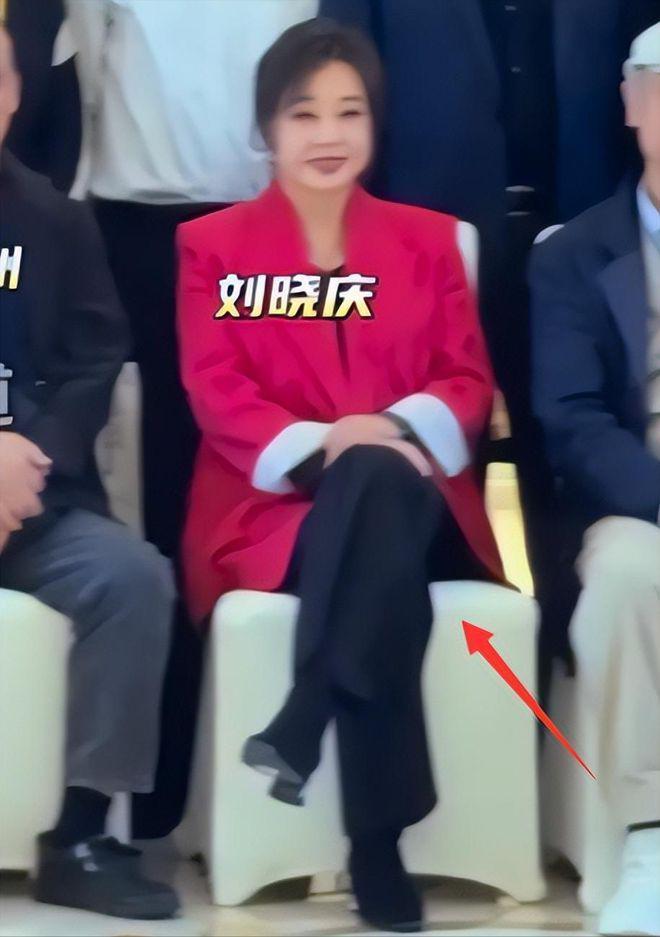 内娱大咖们齐聚，陈宝国坐C位，刘晓庆坐姿惹争议