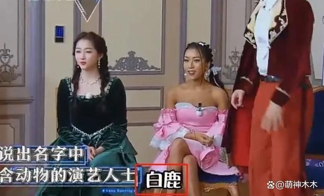 内娱明星尴尬追星史：白鹿太爱鹿晗为其改名，张碧晨追星张艺兴