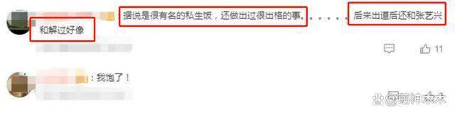内娱明星尴尬追星史：白鹿太爱鹿晗为其改名，张碧晨追星张艺兴
