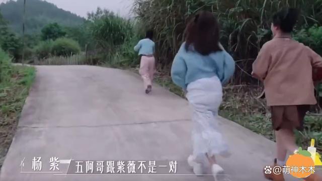 内娱明星尴尬追星史：白鹿太爱鹿晗为其改名，张碧晨追星张艺兴