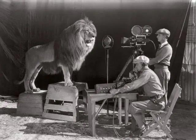 站着的霍金，罕见的李嘉诚，20岁的屠呦呦，这是朋友圈最珍贵的照片