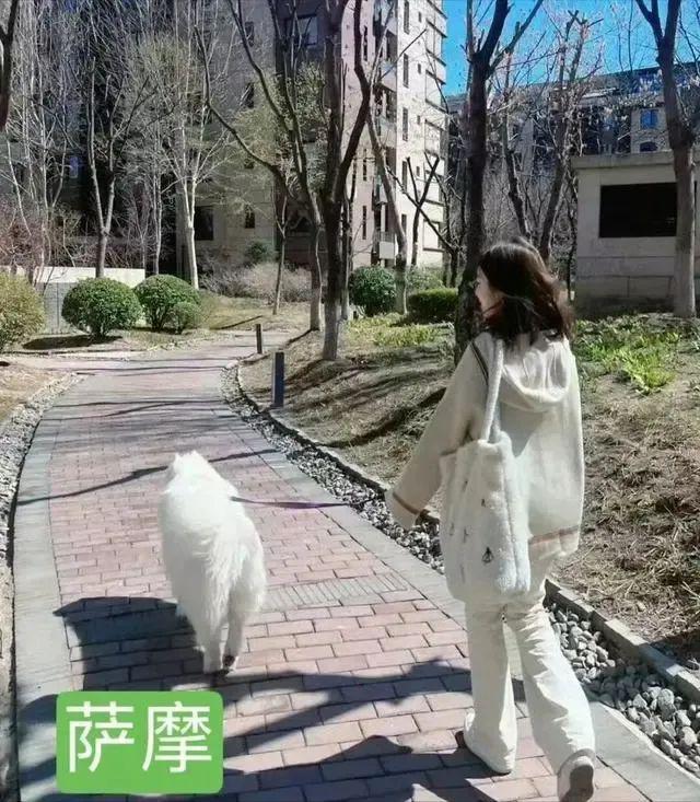 vocal？他真的恋爱了吗？？？