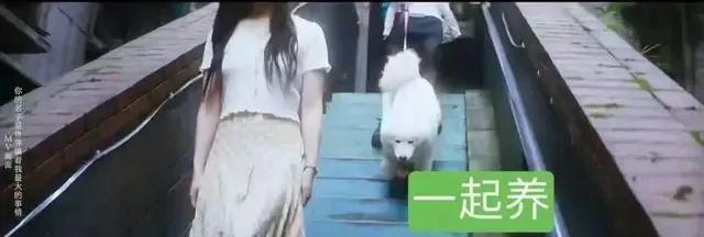 vocal？他真的恋爱了吗？？？