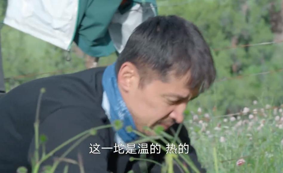 胡歌的中年叛逆？零片酬拍真人秀、当配角还要处理排泄物