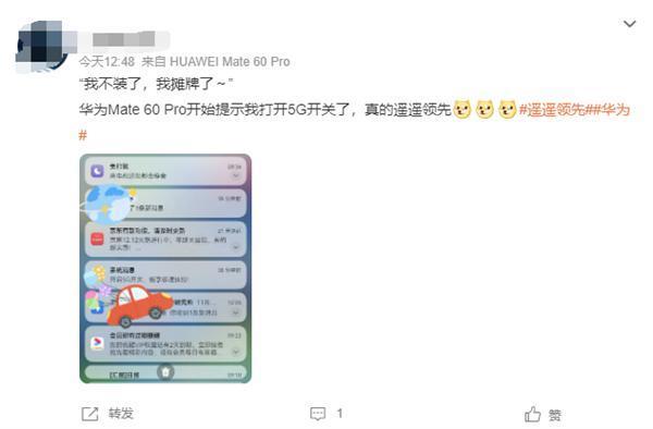 部分华为Mate 60手机提示打开“5G开关” 用户：真遥遥领先