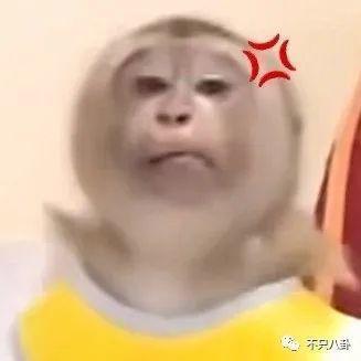 越帅的男人越渣？出轨多年纵容小三叫嚣，现在原配不忍了