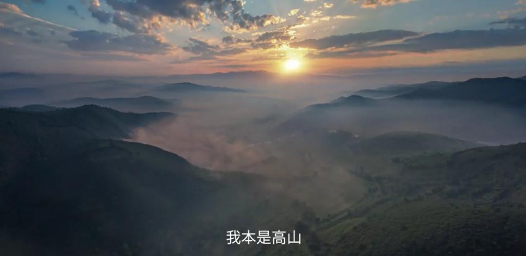 海清，拍这部片子你后悔吗？