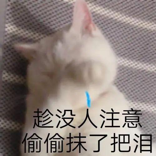 这才几天，就从全网夸到狗血炸？好怕她翻车谁懂……