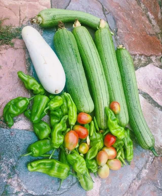 离开了李晨，她嫁给了爱情，再上热搜，她活成了人们羡慕的样子