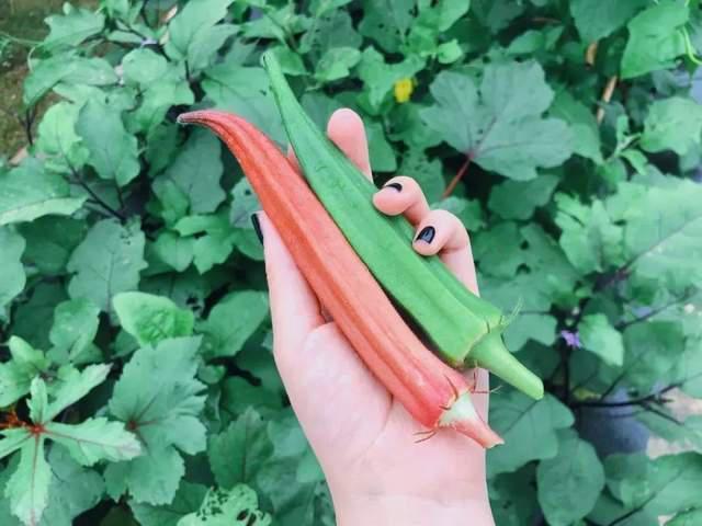 离开了李晨，她嫁给了爱情，再上热搜，她活成了人们羡慕的样子