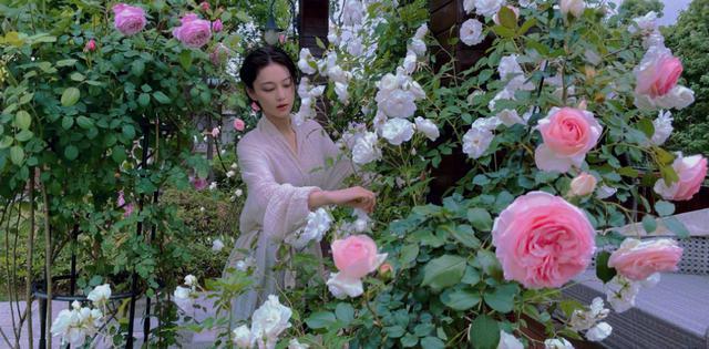 离开了李晨，她嫁给了爱情，再上热搜，她活成了人们羡慕的样子