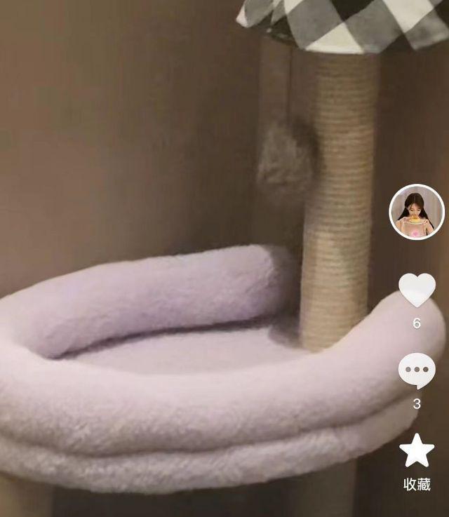 黄晓明叶珂冲上热搜，女方罕见高调疑逼宫，被质疑住进杨颖婚房