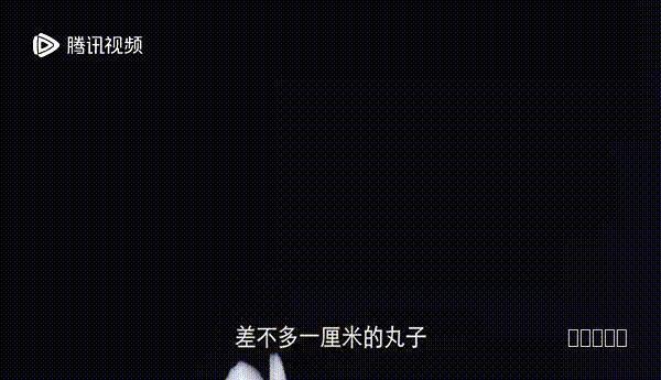 檀健次和周也，放心嗑！