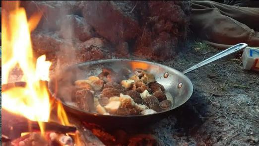 游牧人生！美国女子在野外生活近4年 以路杀为食：不愿它白白死去