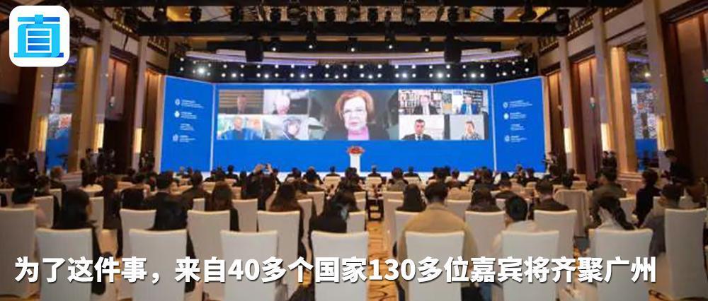 吉娜·爱丽丝：我是这样向世界讲述中国故事