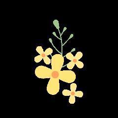 歹毒啊,能让观众吃点好的吗?