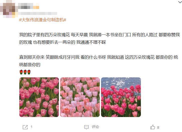 滚圈叛徒大张伟