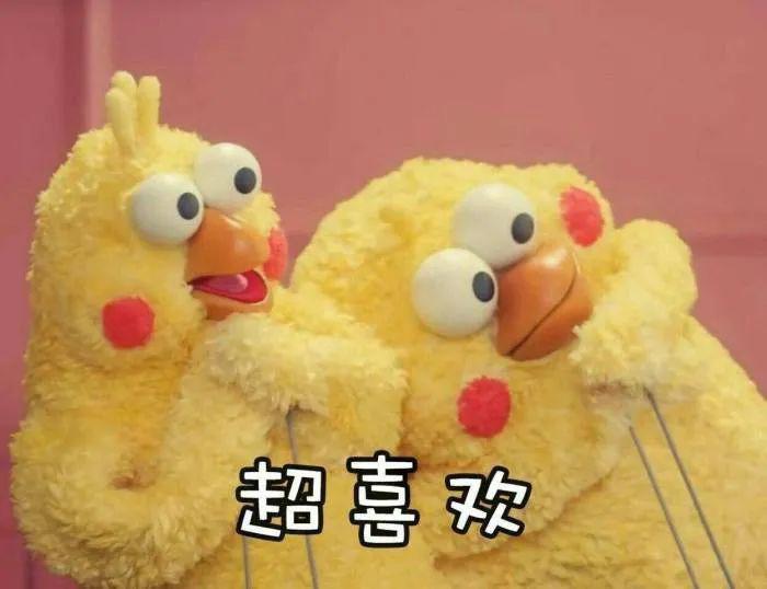 她来演，这部剧就成功了一半？