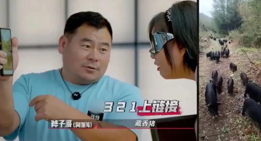 《我可以47》引发韩网热议，这就是中式强者的魅力
