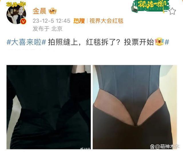 视界大会女星资源堪忧！金晨被指模仿杨颖