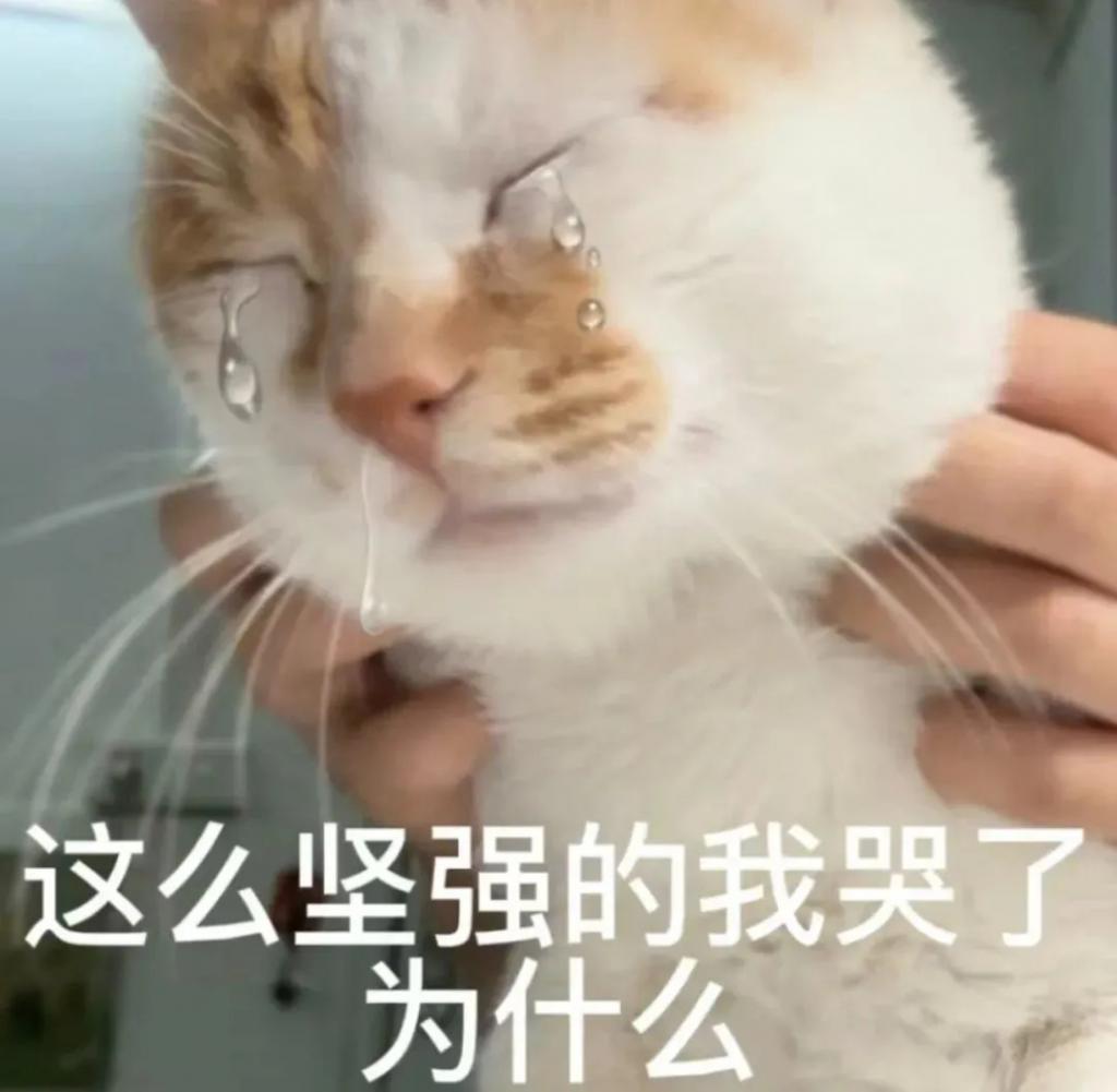 还记得吕燕吗？混血儿子长这么大了？