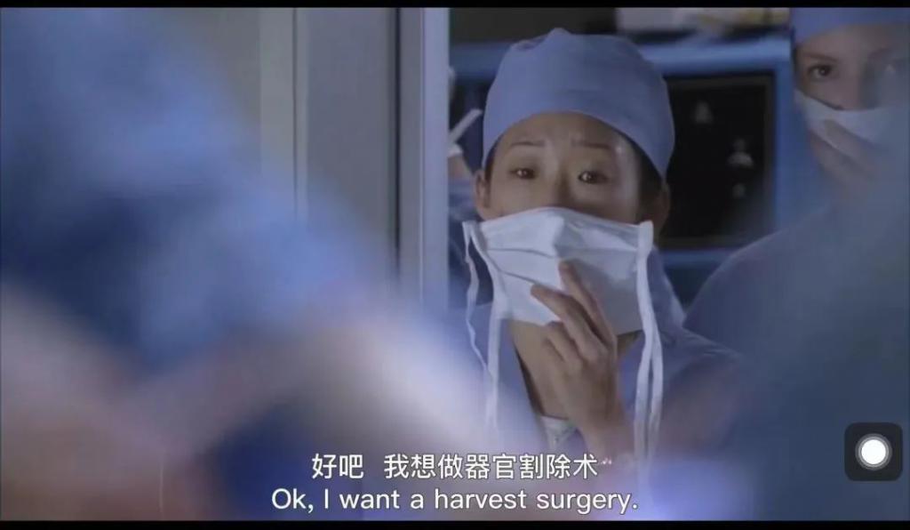 为了热度不要命的，贵圈就剩她了