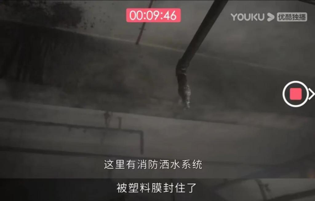 为了热度不要命的，贵圈就剩她了