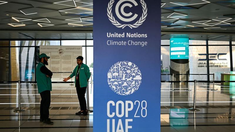 “如果你们想领导世界，你们就要停掉碳关税”