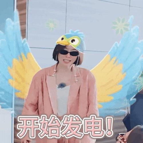 旅行综艺，长端掉队