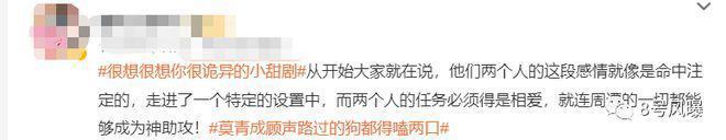 圈层小众，做饭唱歌凑时长，这剧怎么看下去？