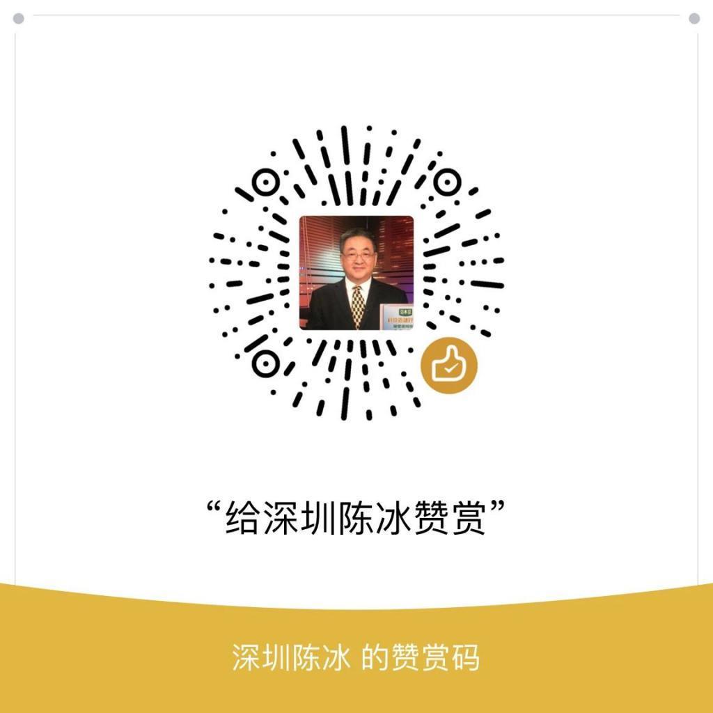 陈冰：美国已出四招，企图影响台湾地区2024选举