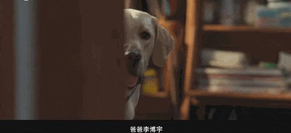 看了《再见，李可乐》，发现演技不能比较，优劣一目了然