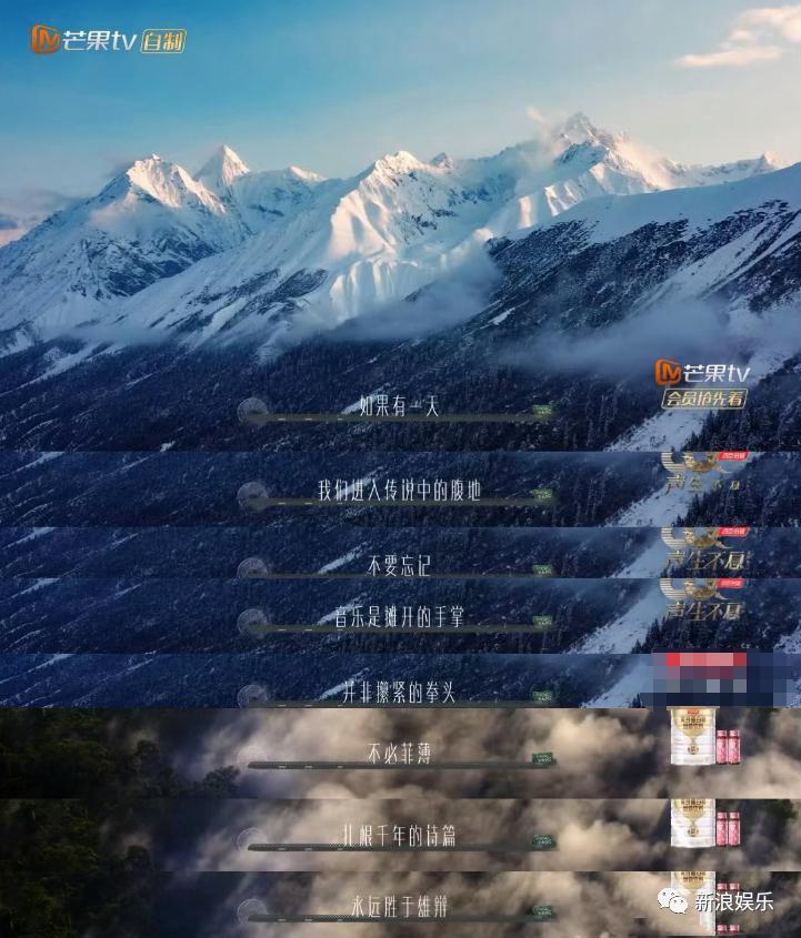 破案了，大神是她