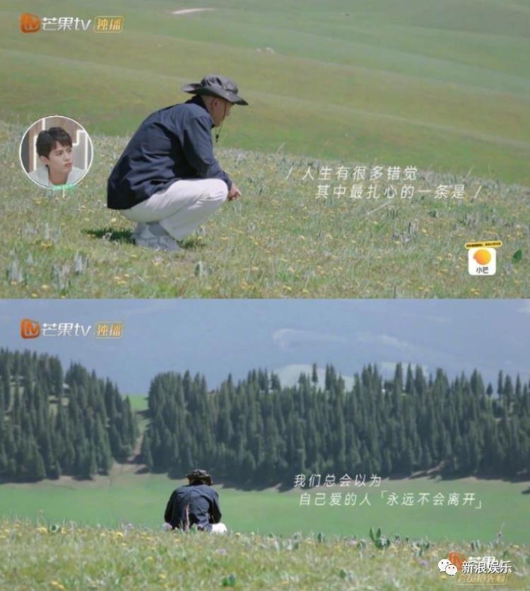 破案了，大神是她